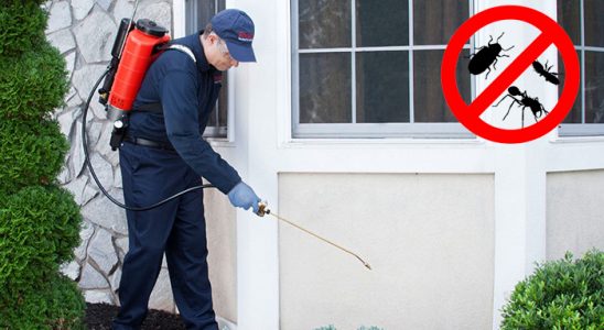 Koyulhisar Böcek İlaçlama böcek ilaçlama ve haşere kontrolü — ilaclama-tr.com